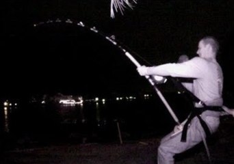 Florida Anglers Catch 400lb Shark at Night