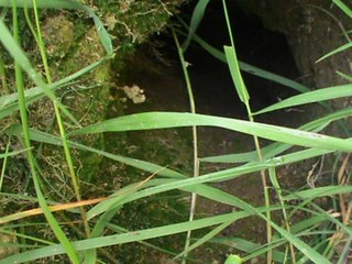 Diaporama ballade Plabennec