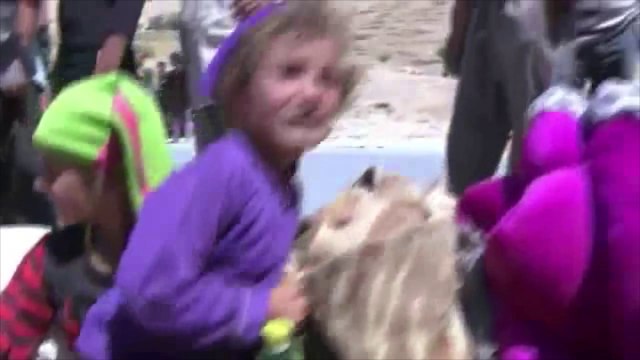 Dentro del Monte Sinjar: Refugio de los yazidíes en Irak