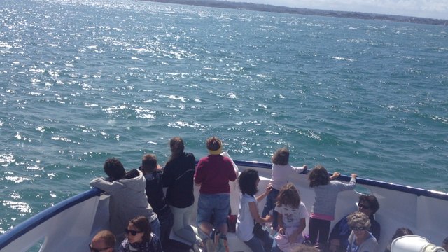 Le port de Ploumanac'h et la côte de granit rose