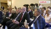 Finlandiya Cumhurbaşkanı Niinistö, Rusya'da -