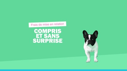 Doudoufamille : 20 secondes pour rendre heureux votre animal pour ses vacances !