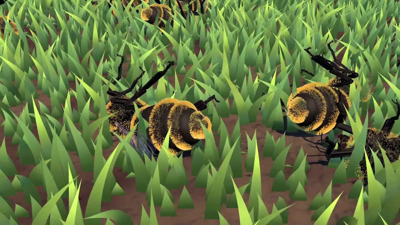 La disminución de las abejas
