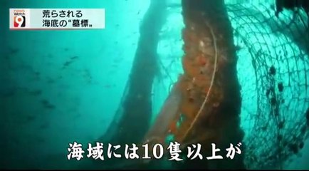 14 08 14 AK NW9　巡洋艦羽黒　マレーシア　佐世保　東山海軍基地　荒らされる沈没軍艦　屑鉄