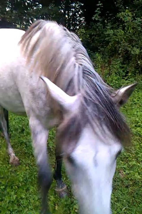 Sapho, un soir d'Août