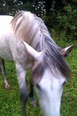 Sapho, un soir d'Août