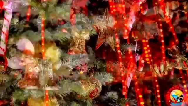 COLIND SFINTE SARBATORI - ELIS ARMEANCA, NIKOLAS ,GICUTA, LIVIU GUTA