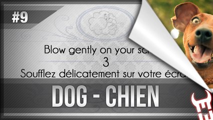 Blow gently on your screen #9 DOG - Soufflez délicatement sur votre écran