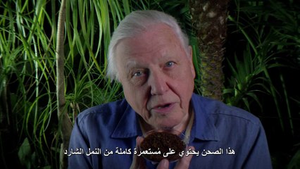 الوحوش المِجهرية الحلقه الثالثه المُغازلة SKY