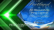 Portland Pest Control Services  Antworks Pest Control