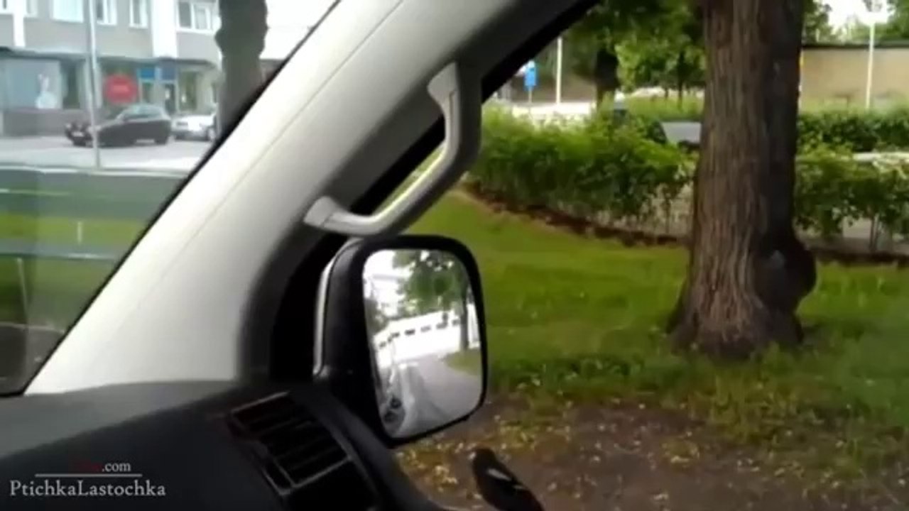 Pranks - Gags - Win - Fail.59