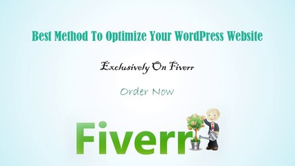 How To Optimize Your WordPress Website To Get Massive Traffic