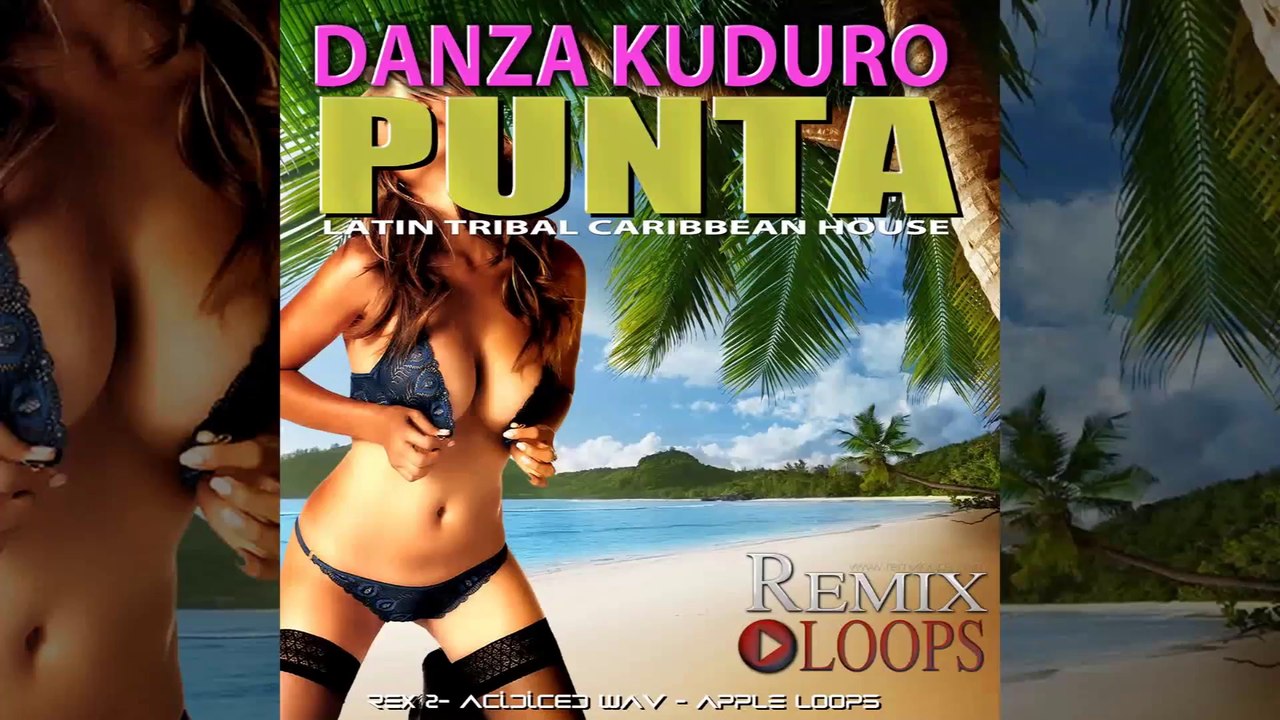 Danza Kuduro Punta Drum & Percussion Loops & Samples (Demo)