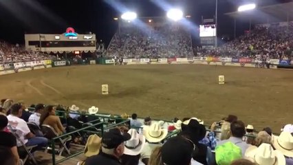 At mı motosiklet mi hangisi daha hızlı