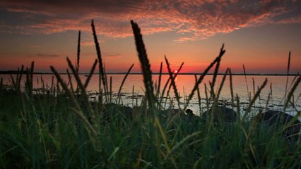 Time-lapse - You're My Angel - Danbi - Piano HD 1080p