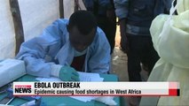 Ebola epidemic causing food shortages in West Africa