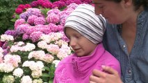 كفاح عائلات الأطفال المصابين بالسرطان للحفاظ على وحدتهم الصحية