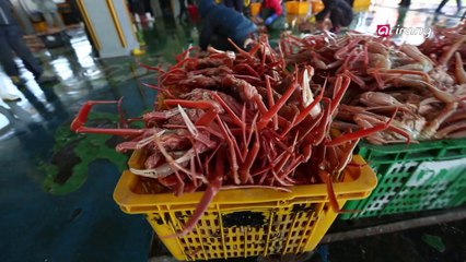 Bon Voyage Ep20 (Pohang)