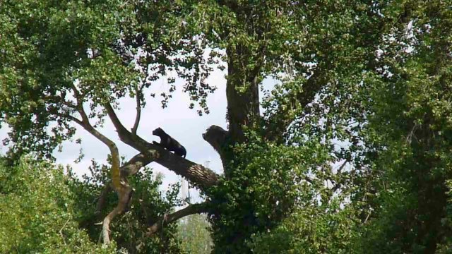 The Settlers (Les Colons) de Sarah Sze à Port Lavigne (Bouguenais), oeuvre Estuaire