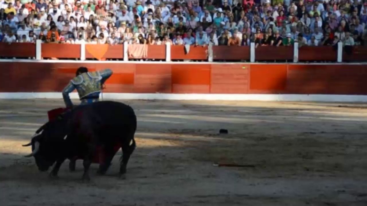 Briviesca_15_ago