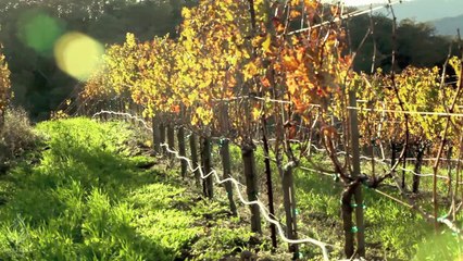 Yeniden Yeryüzü: Başarının Sırrı