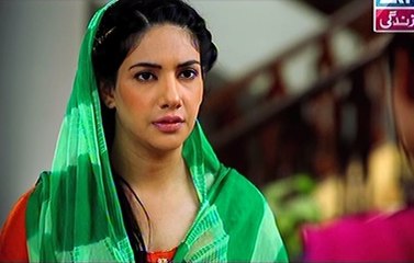 Bahu Begam Episode 56 Full on Ary Zindagi