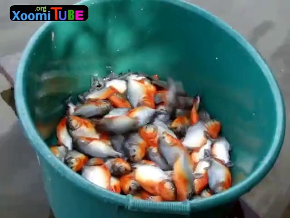Girl fishing with meat amazing