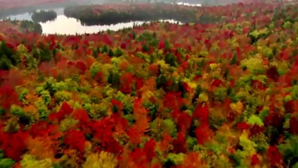 Mera Dil Badal De (Naat by Junaid Jamshed) - Video Dailymotion