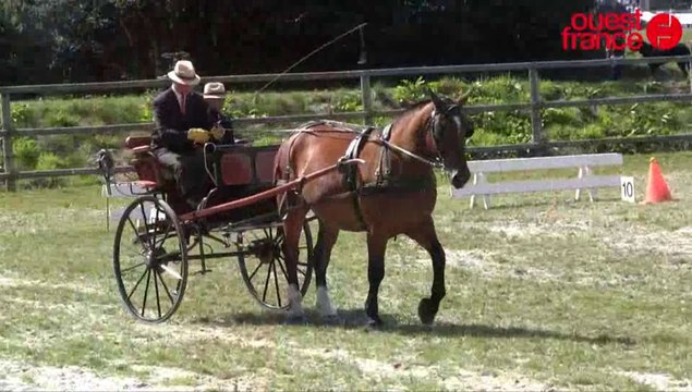 Normandie hors show : l'attelage se donne aussi en spectacle !