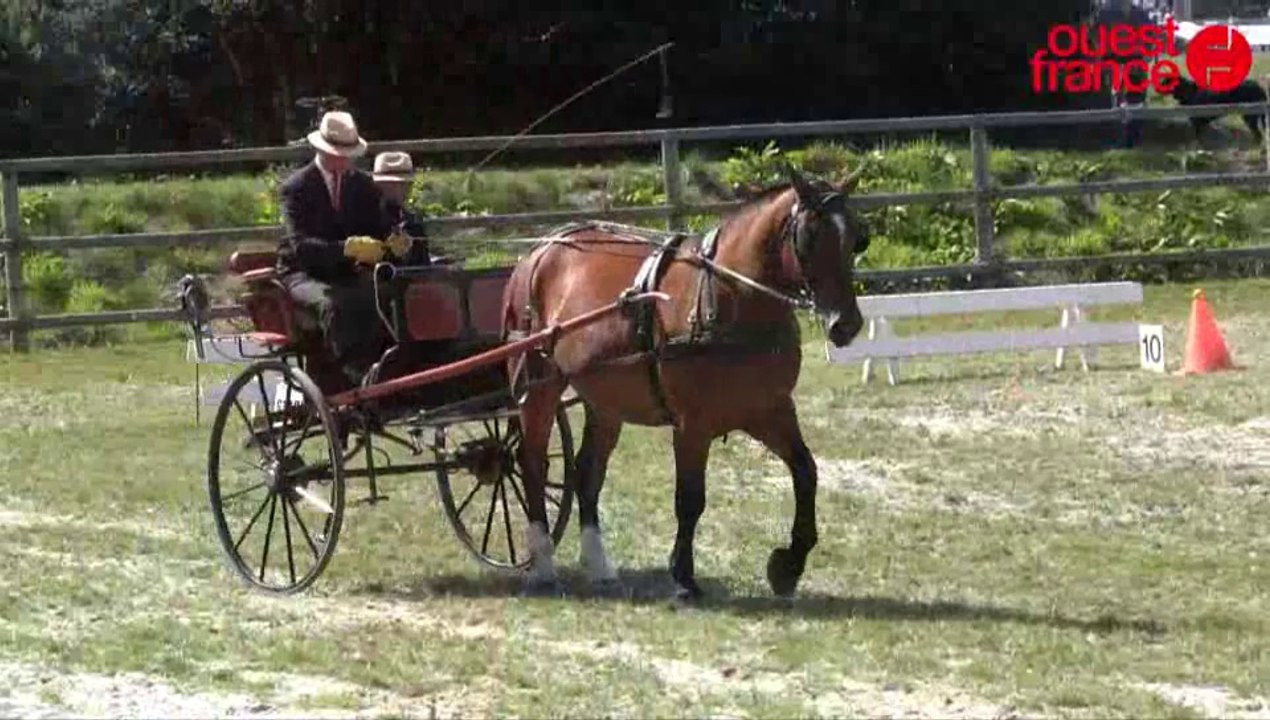 Normandie hors show : l'attelage se donne aussi en spectacle !