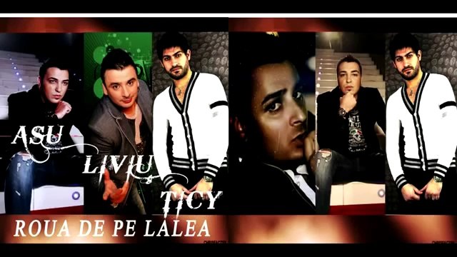 LIVIU GUTA , ASU TICY - FRUMOASA CA TINE ( 40)721.20.60.60