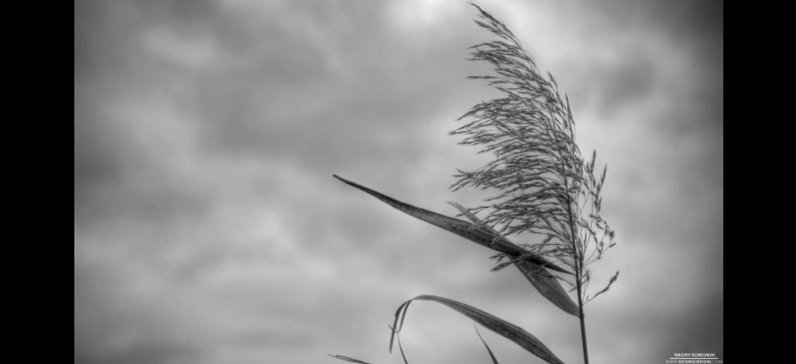 Ae Jo Silli Silli Aundi Ae Hawa - Hans Raj Hans