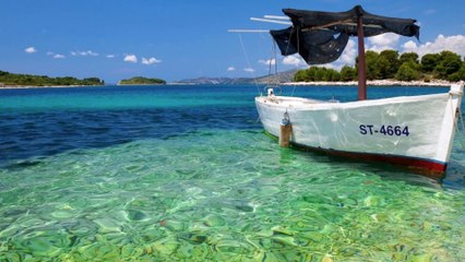 Ca Marea - Nicolae Robu (15.Aug.2014 - Mayor of Timisoara)