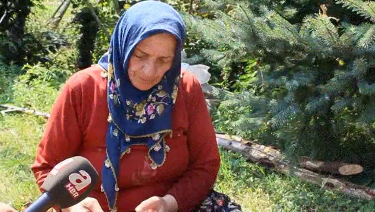 ORDU FINDIK (3)