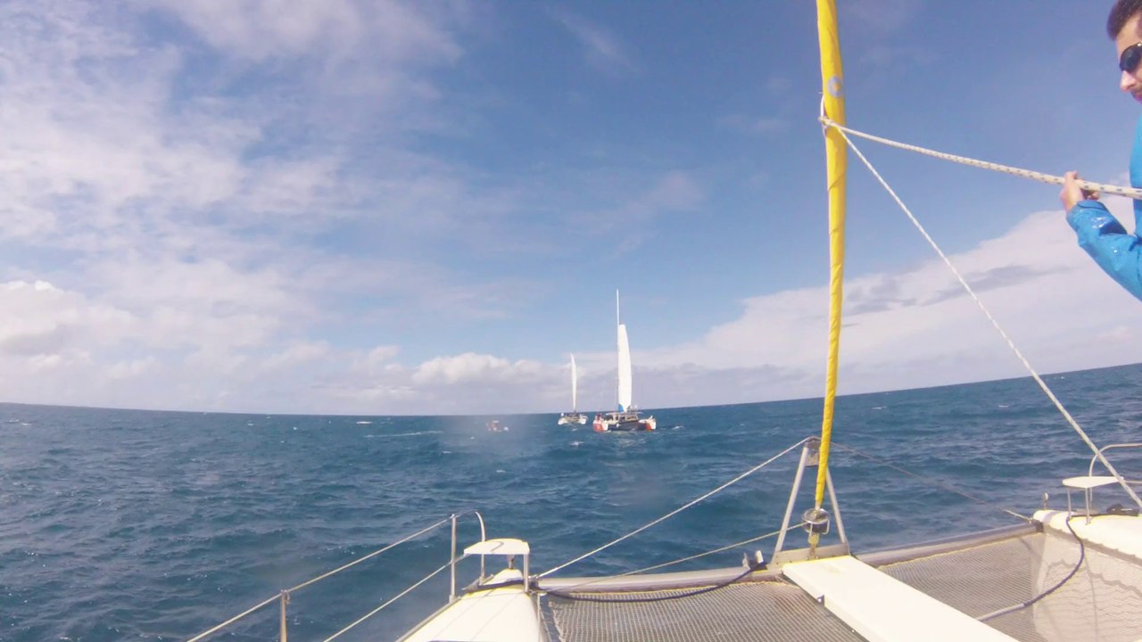2014.08.11 Sortie Baleines