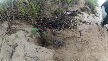 En route vers le grand voyage