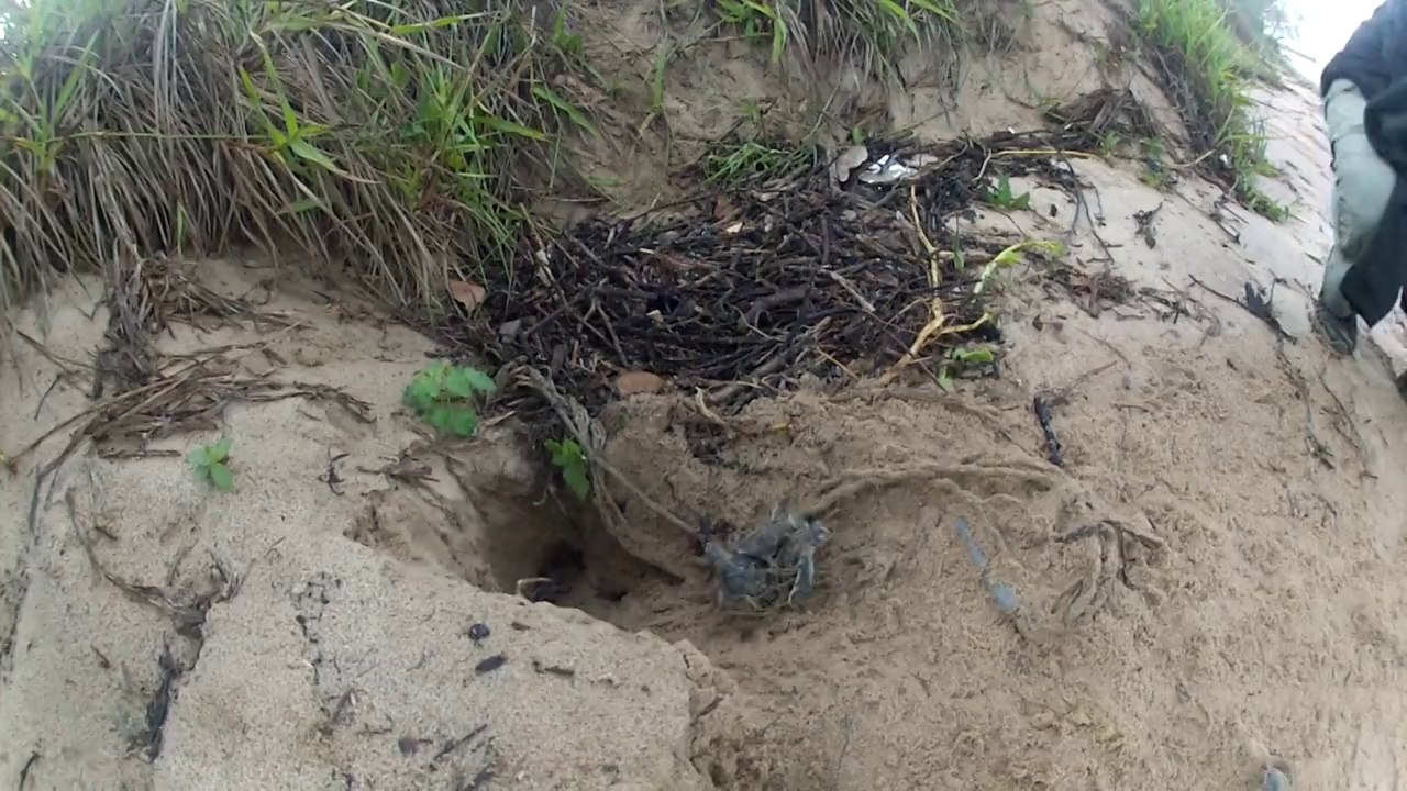 En route vers le grand voyage