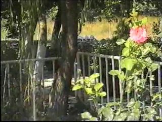 FATMA GÜLER ÇIT ÇIT ÇEDENE