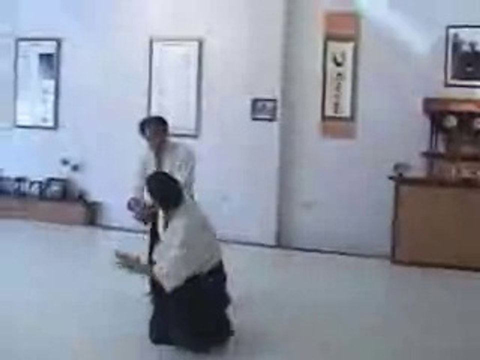 Aikido Tai Chi Kata Martial Application