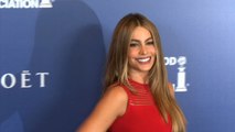 Sofia Vergara Without Her Boyfriend At The 'Hollywood Foreign Press' Banquet