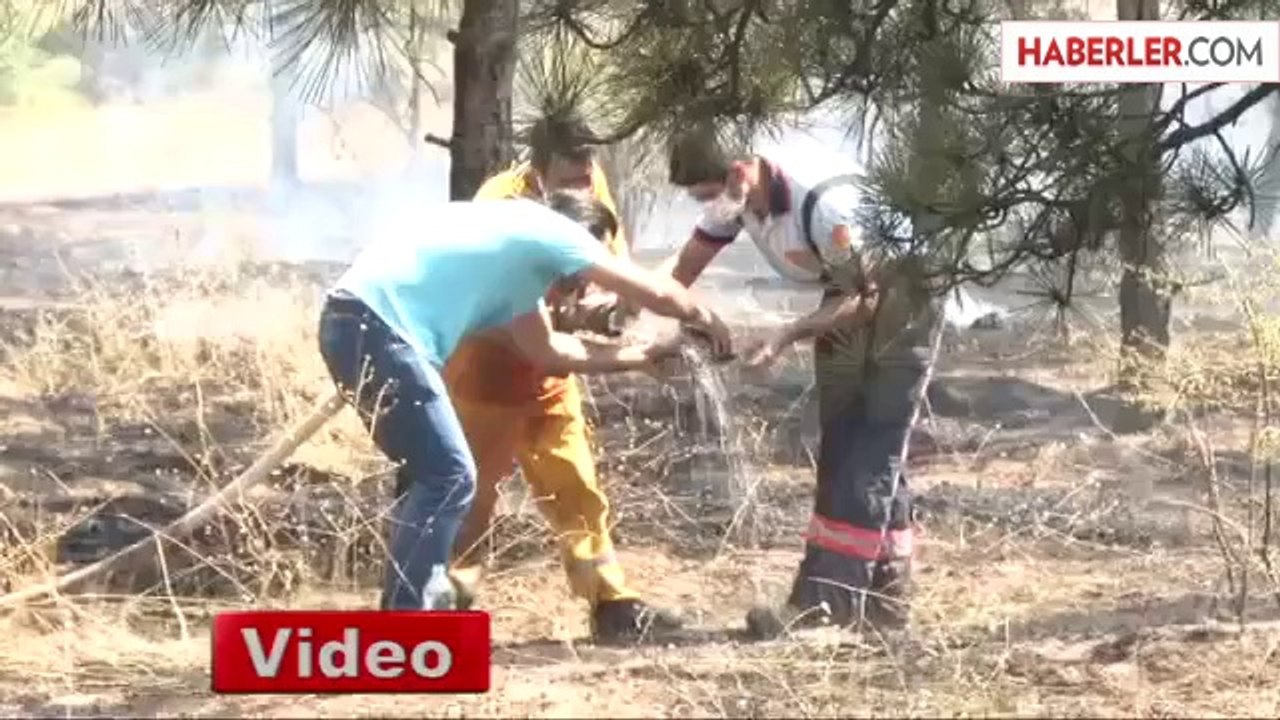 Atatürk Orman Çiftliğinde Orman Yangını