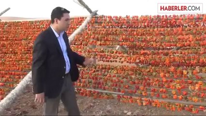 Oğuzeli Kaymakamı Burası Türkiye'nin Kurutmalık Sebze Ambarı