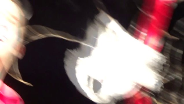 00027 Mattagumber de Mooslargue, Le banquet de Belzébuth 16 août 2014