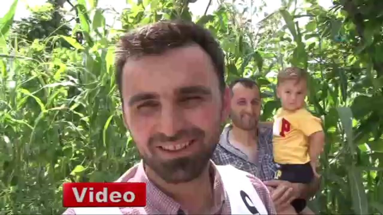 Kenan Sofuoğlu Formulaz direksiyonunda - VİDEO İZLE - www.olay53.com