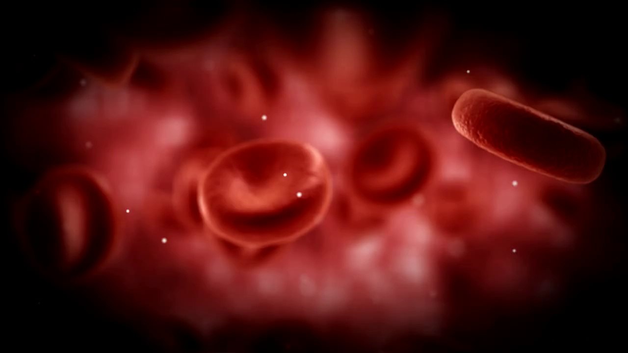 Red Blood