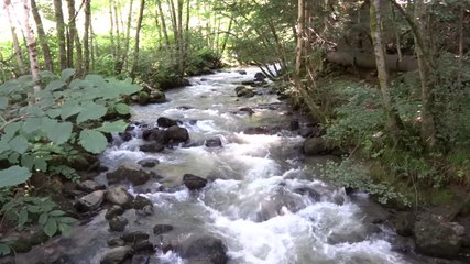 Pays d'Auvergne : Au fil de l'eau