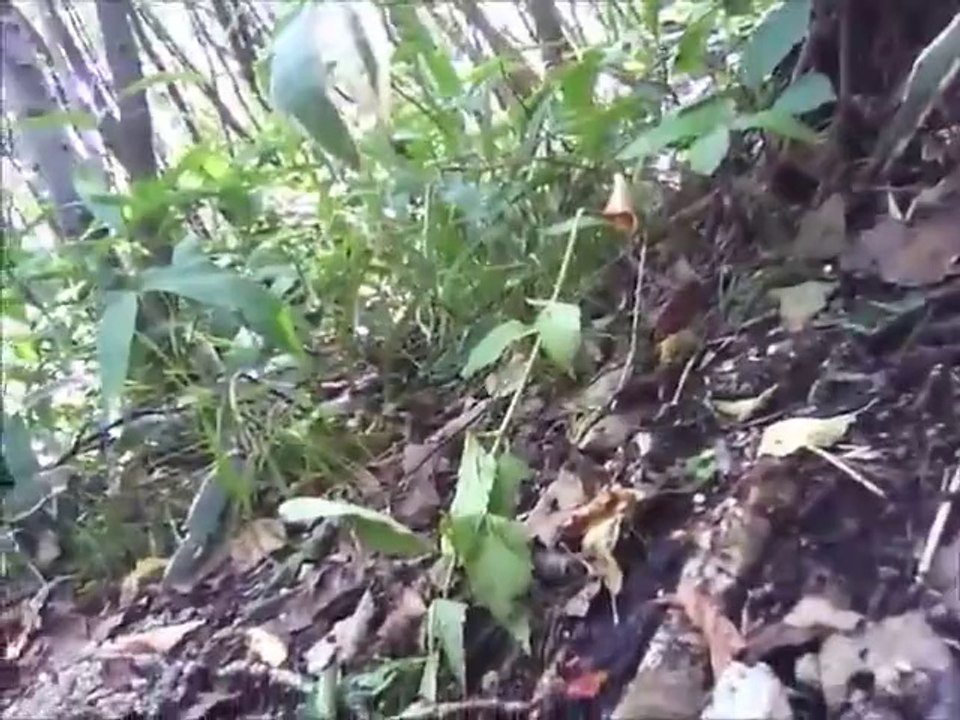 塹壕の攻防