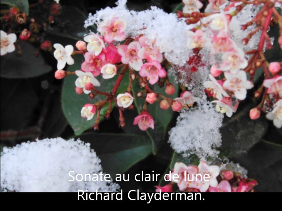 il pleut