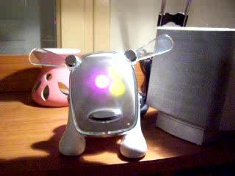 iDog