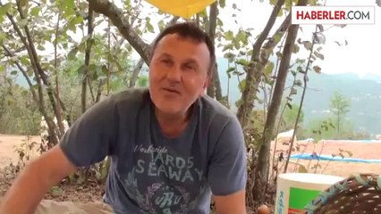 Üretici, fındık fiyatından memnun -